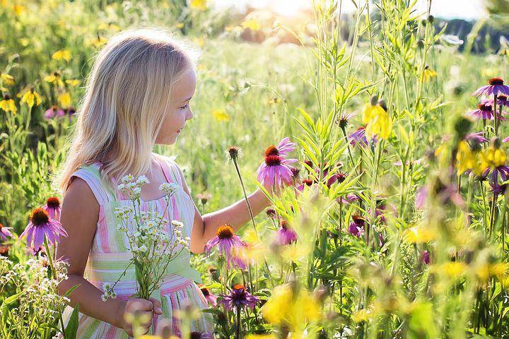 pixabay.com/JillWellington