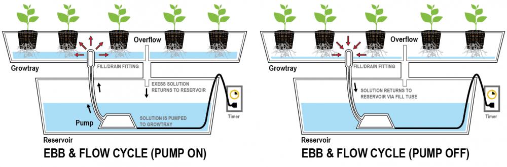 sdhydroponics.com