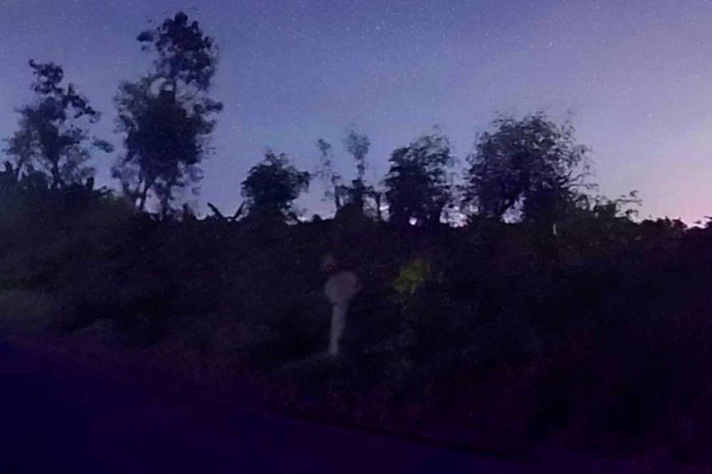 Waduh, Pocong Teror Pemancing di Hutan Mangrove Pantai Samas!