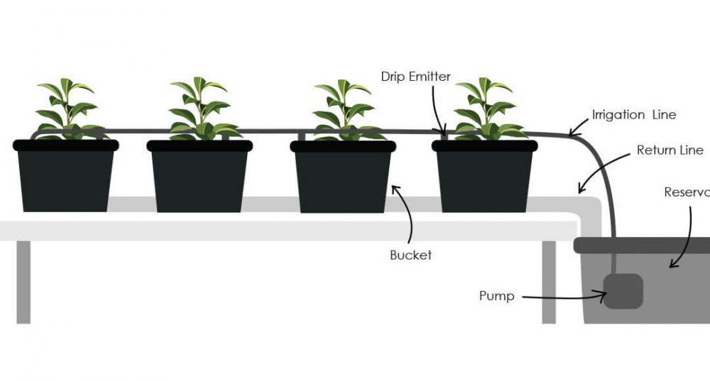 university.upstartfarmers.com