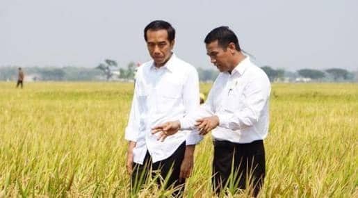 IDN Times/Kementan