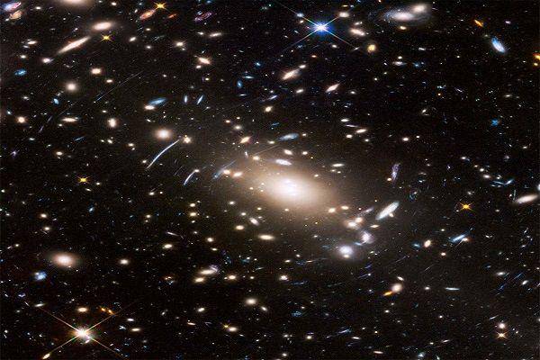 newscientist.com