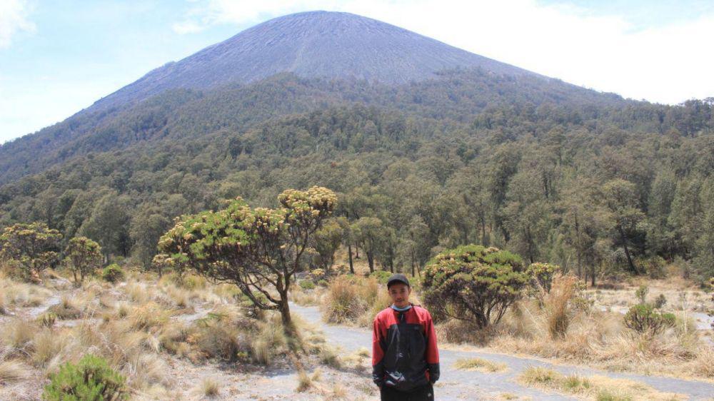 Jalur pendakian gunung Semeru. Instagram/gogotdwi