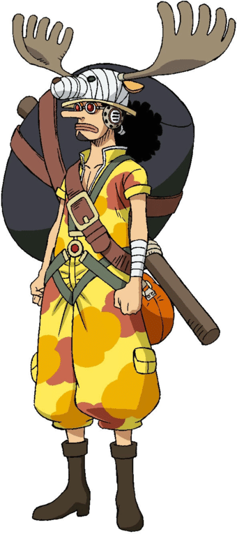 onepiece.fandom.com