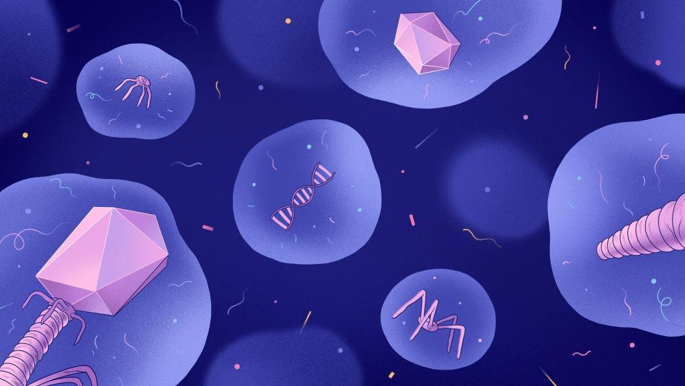 quantamagazine.org