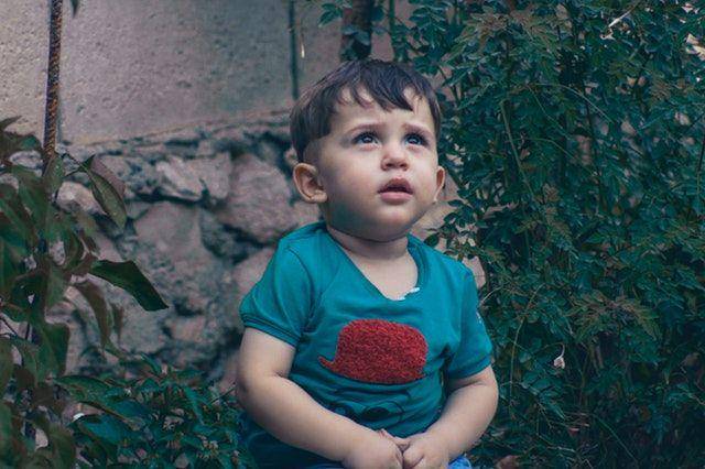 Pexels/samer daboul