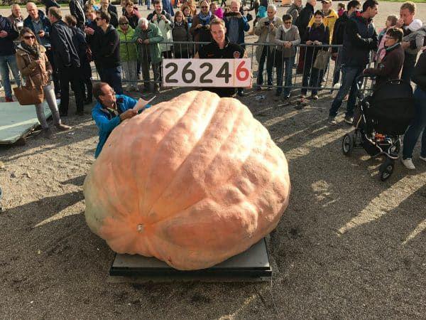 largest.org