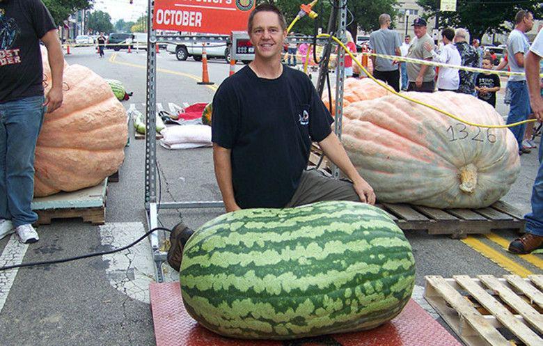 guinnessworldrecords.com