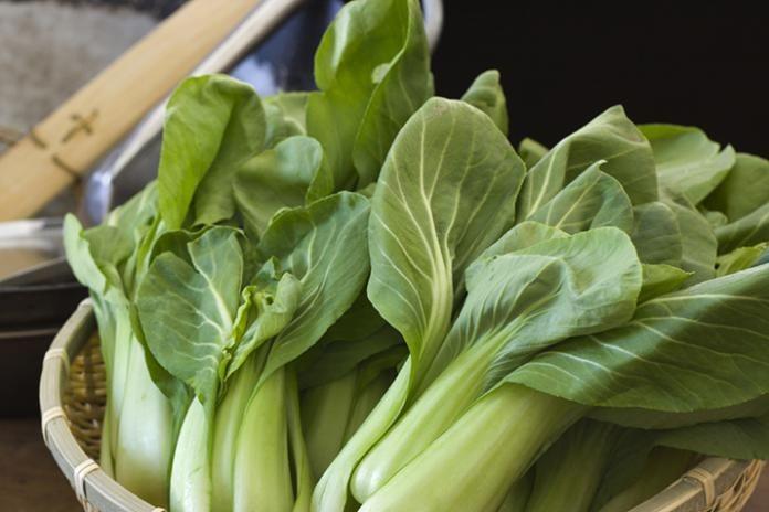 8 Manfaat yang Bisa Kamu Dapatkan dengan Konsumsi Sayur Pakcoy