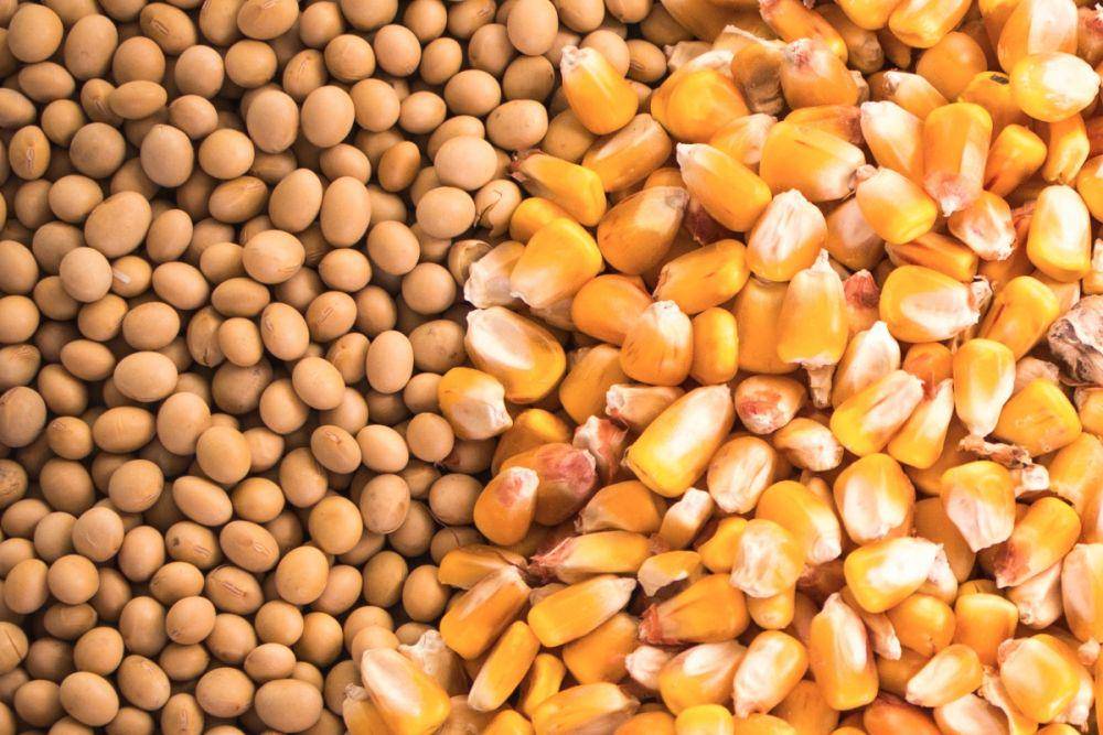 www.foodbusinessnews.net