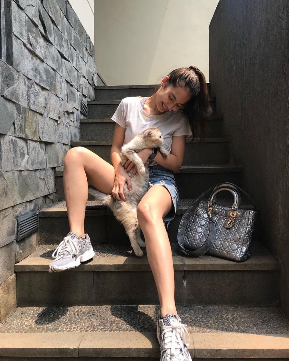instagram.com/pevpearce
