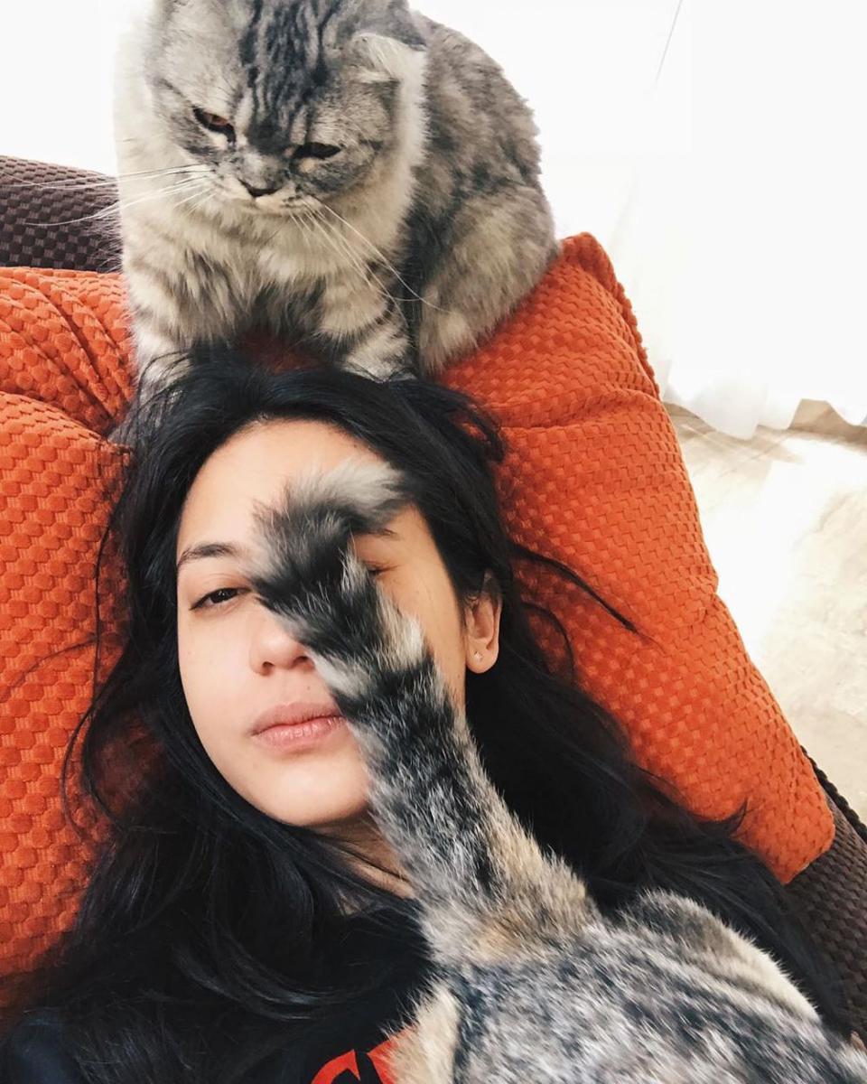 instagram.com/pevpearce
