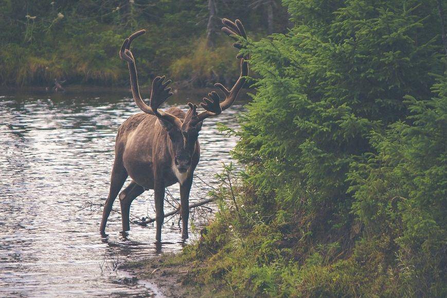 Unsplash/imthebear