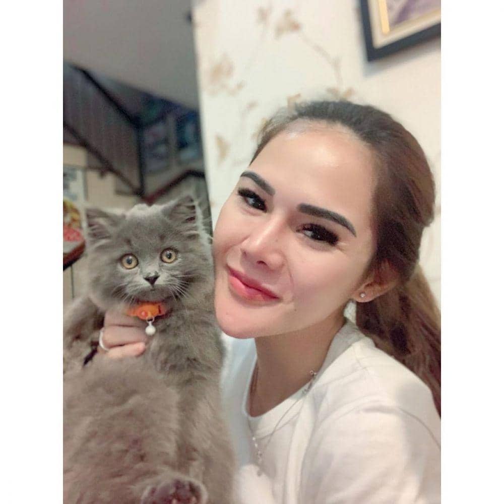 Instagram.com/puybrahmantya