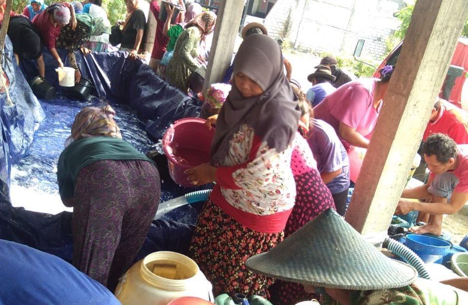 IDN Times/ Istimewa
