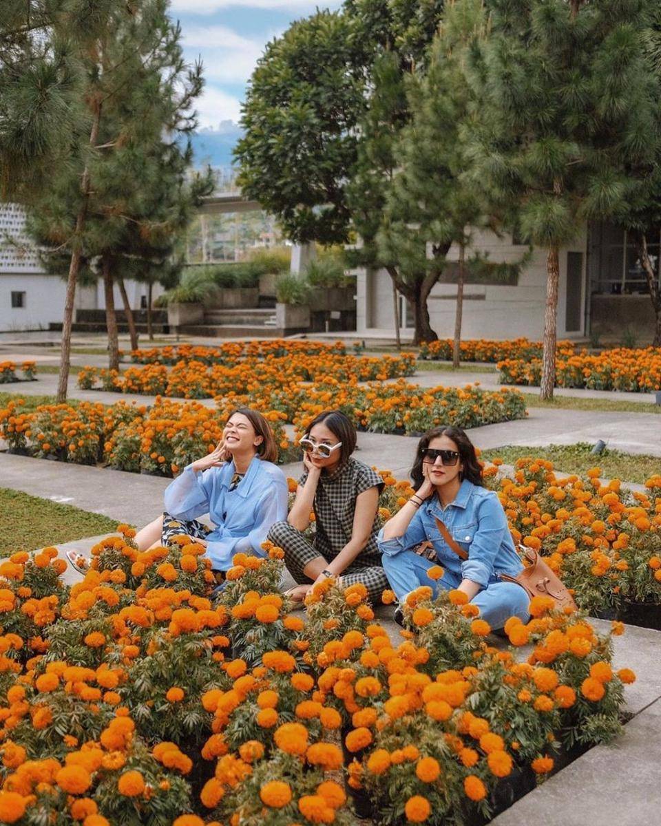 Instagram.com/ayladimitri