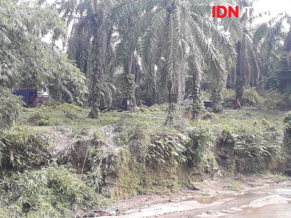 IDN Times/Gideon Aritonang