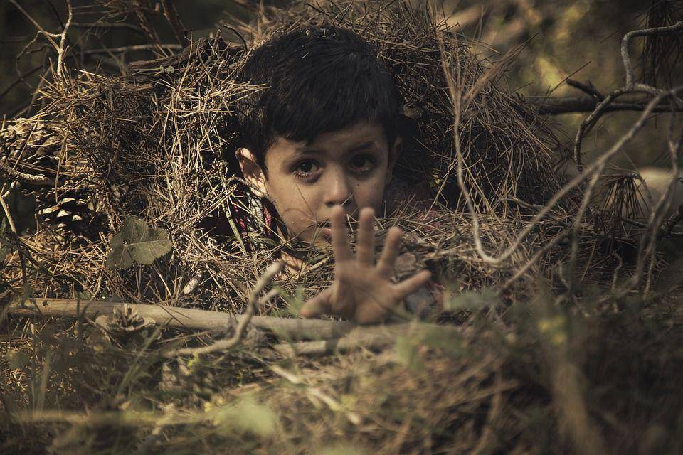 Pixabay.com /ibrahim62