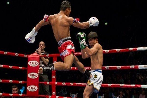 evolve-mma.com