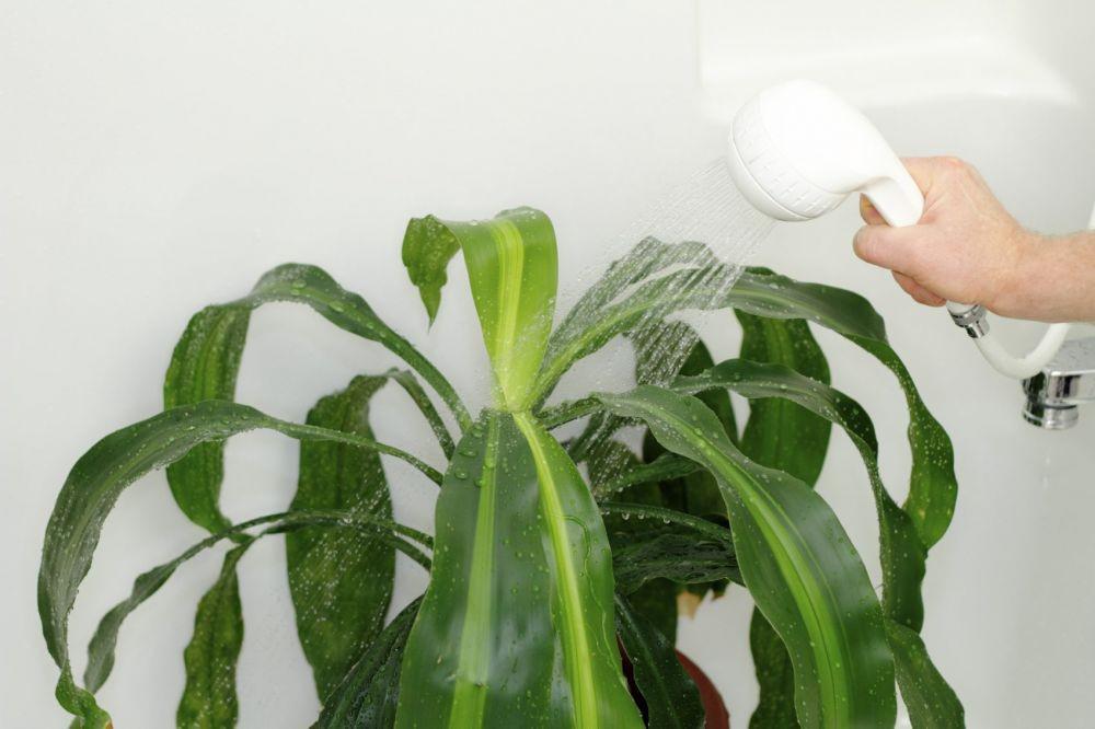 gardeningknowhow.com