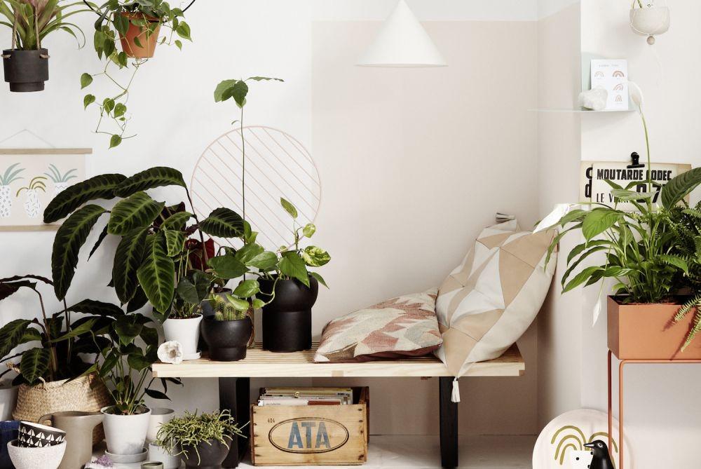 bhg.com.au