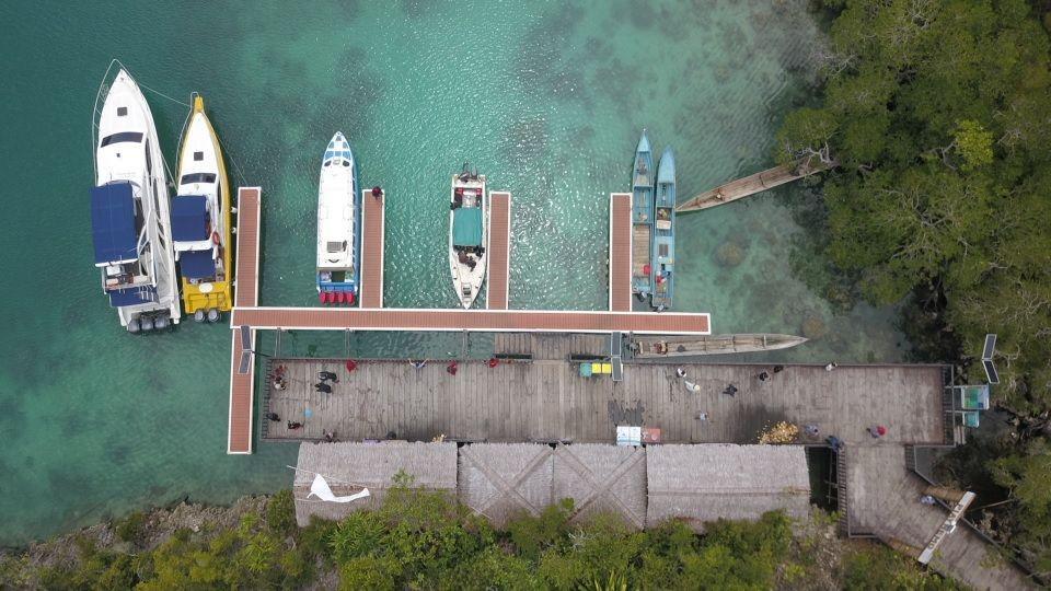 Gerakan Adopsi Coral Warnai Festival Pesona Bahari Raja Ampat 2019