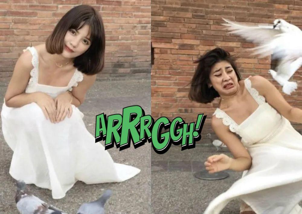 11 Selfie Bareng Hewan Ini Berakhir Apes, Mau Ngakak Tapi Kasihan!