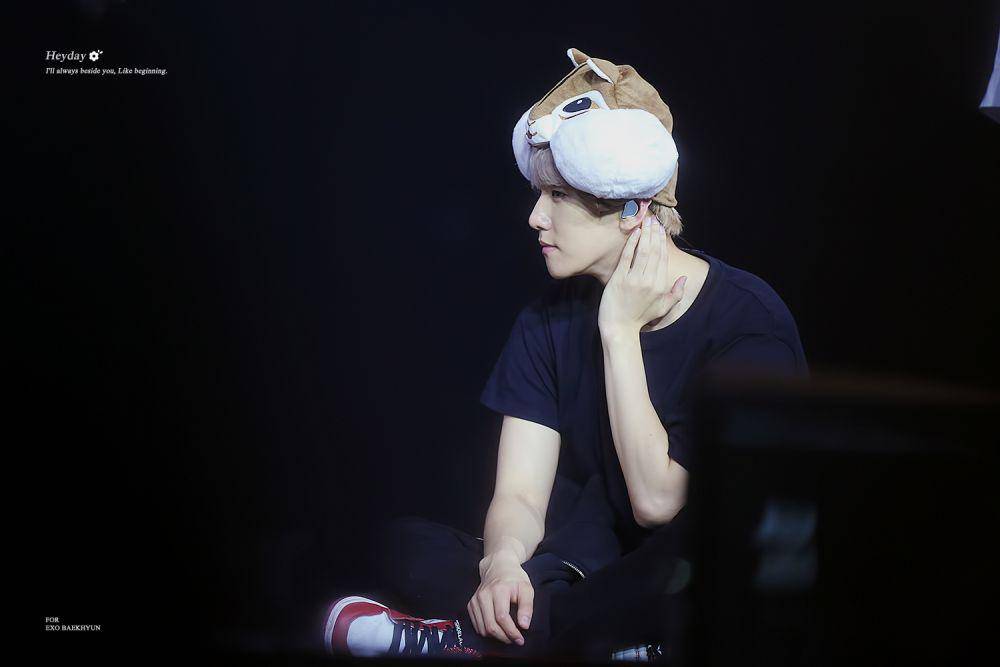 fy-exo.com