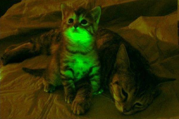 livescience.com