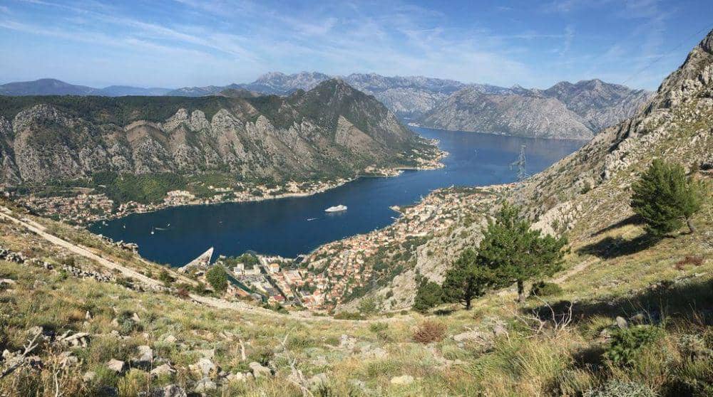 montenegropulse.com
