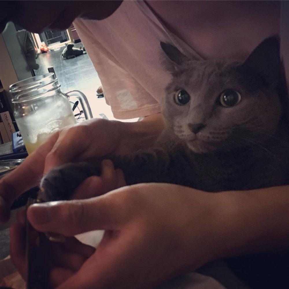 instagram.com/jaeuck.kim