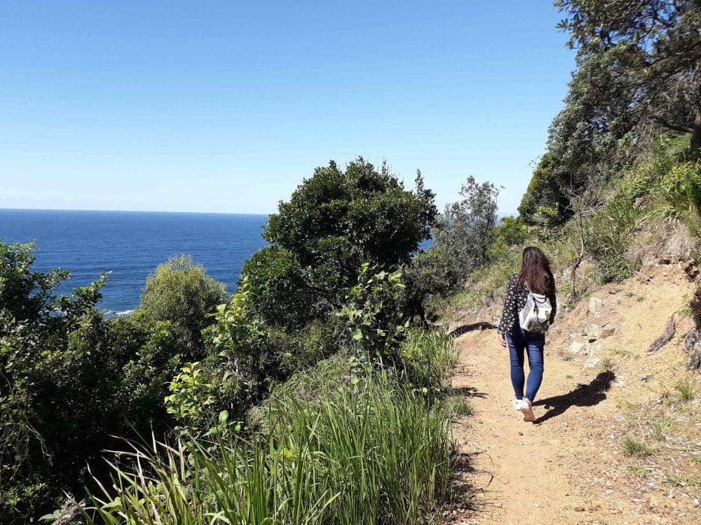 Vita Ayu Kusuma Dewi/IDN Times