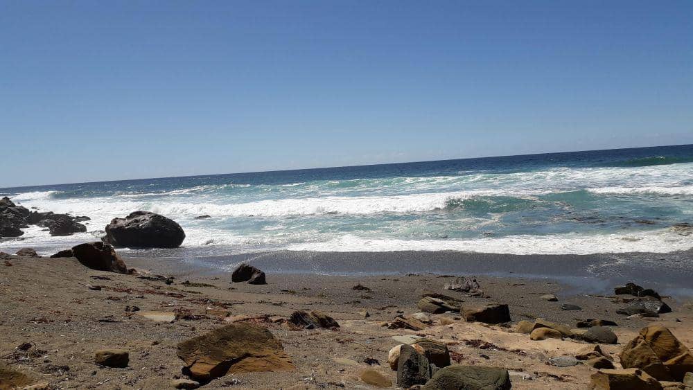 Vita Ayu Kusuma Dewi/IDN Times