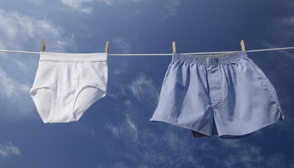 Celana Dalam Biasa atau Boxer? Pilihanmu Menentukan Jumlah Spermamu