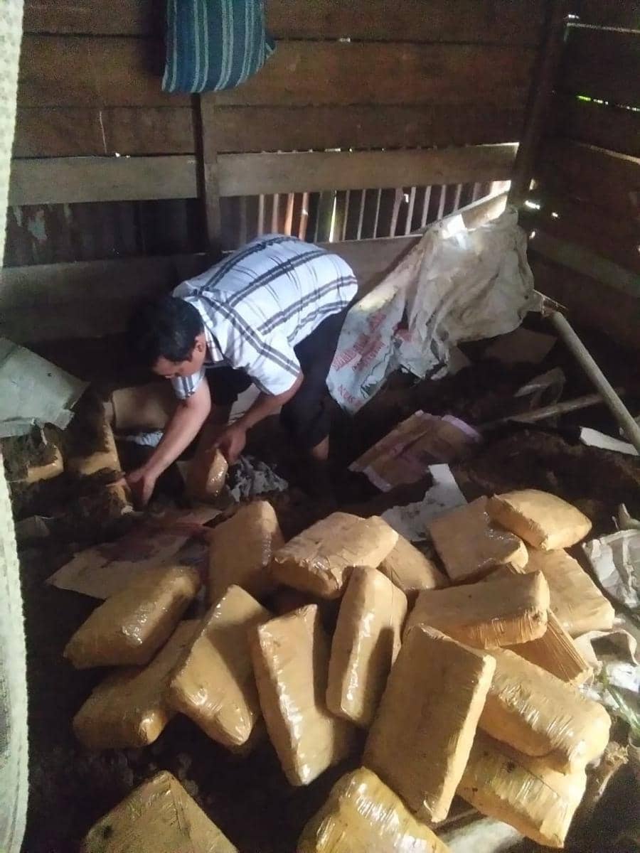 Ratusan kilogram ganja yang diamankan dari terdakwa (Dok.IDN Times/istimewa)