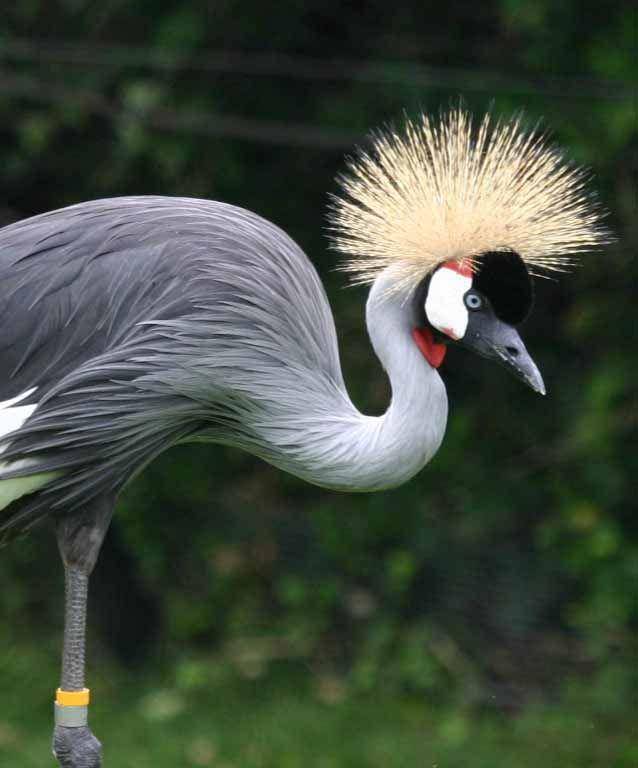 indianapoliszoo.com