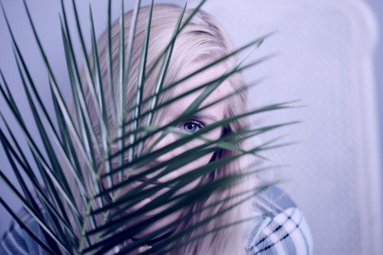 Unsplash.com/SharonMcCutcheon