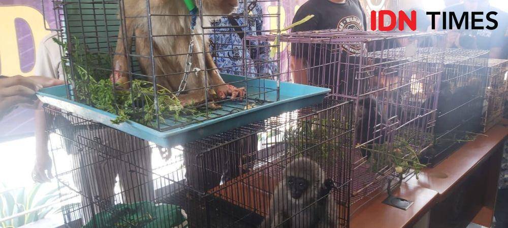 IDN Times/Galih Persiana