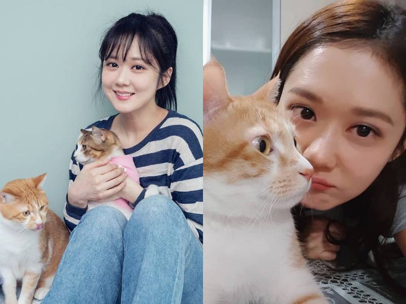 Instagram.com/nara0318