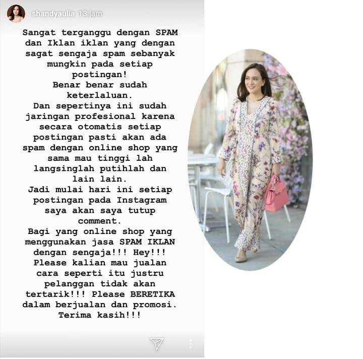 instagram.com/shandyaulia