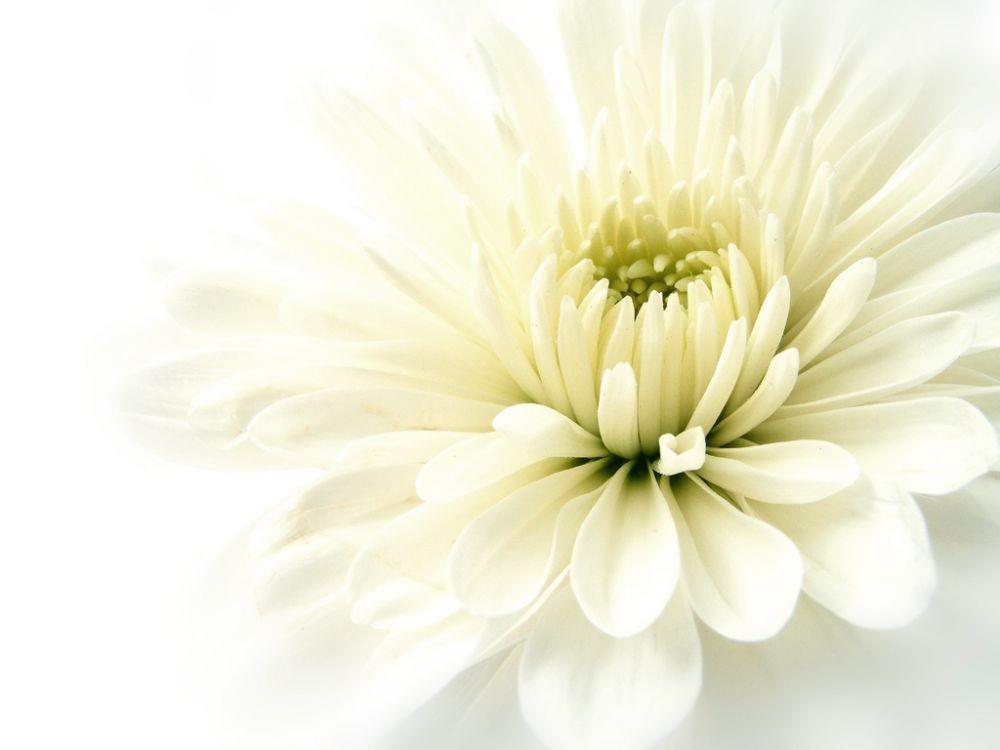 hubpages.com