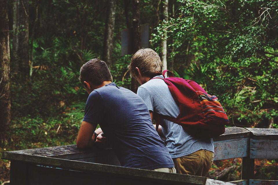 pixabay.com/Free-Photos