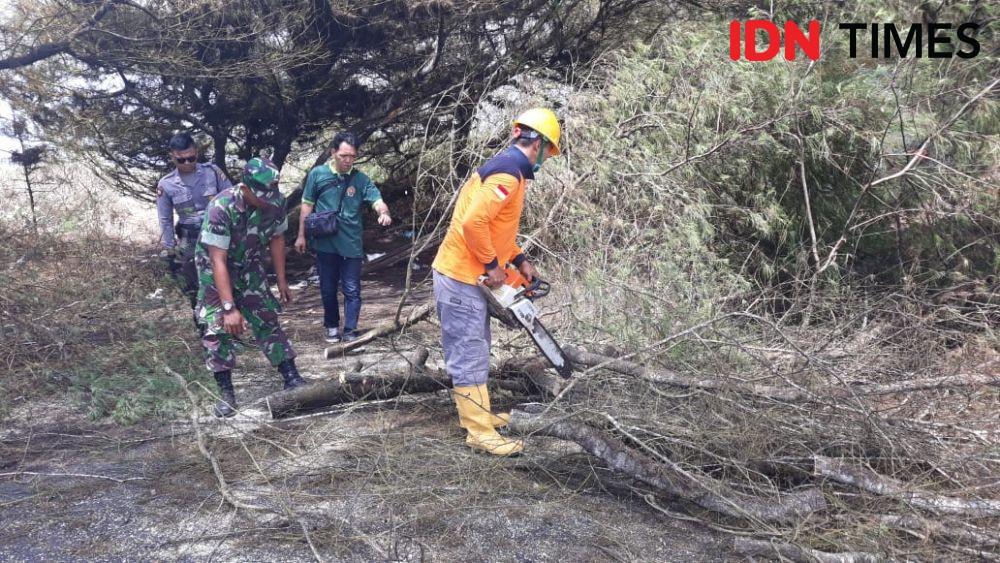 Petugas memotong batang pohon yang melintang di jalan menuju tambak udang. IDN Times/Daruwaskita