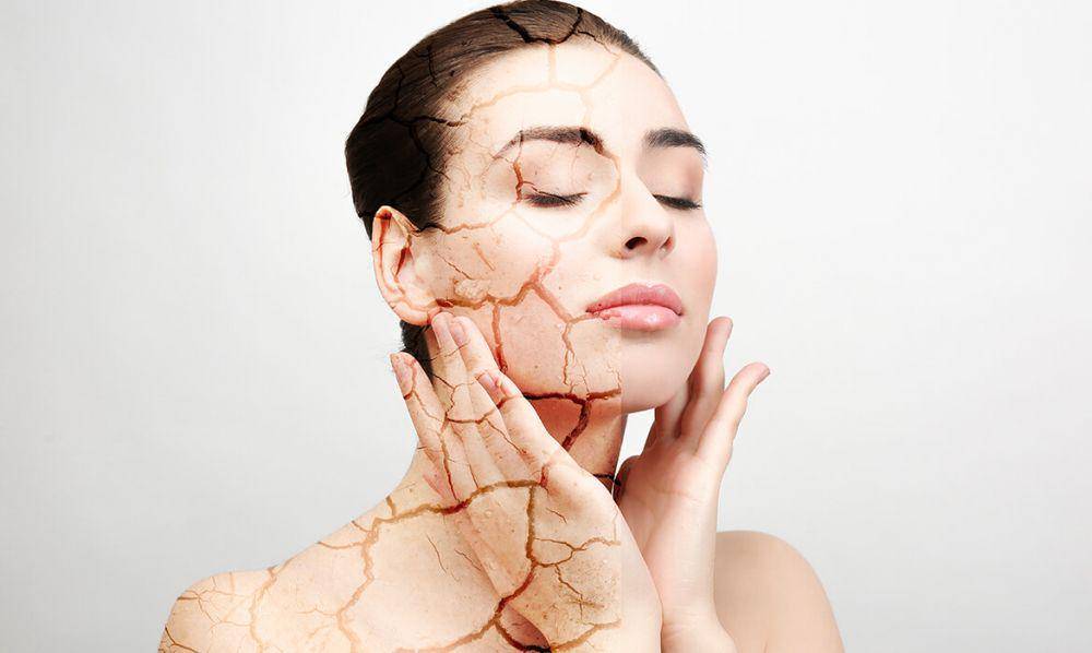 lipaniskincare.com