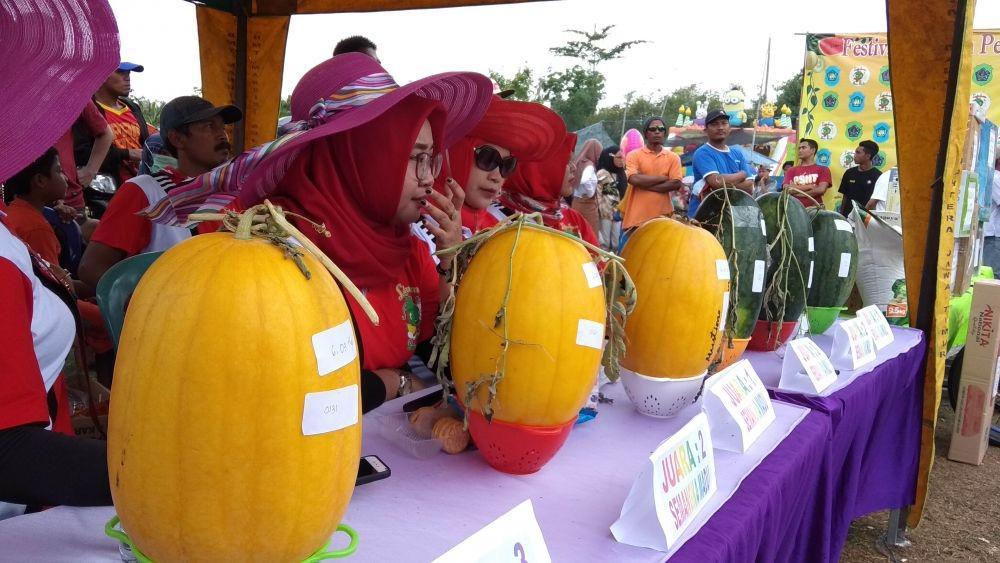 Panitia memamerkan buah di acara festival buah di Desa Latukan IDN Times/Imron