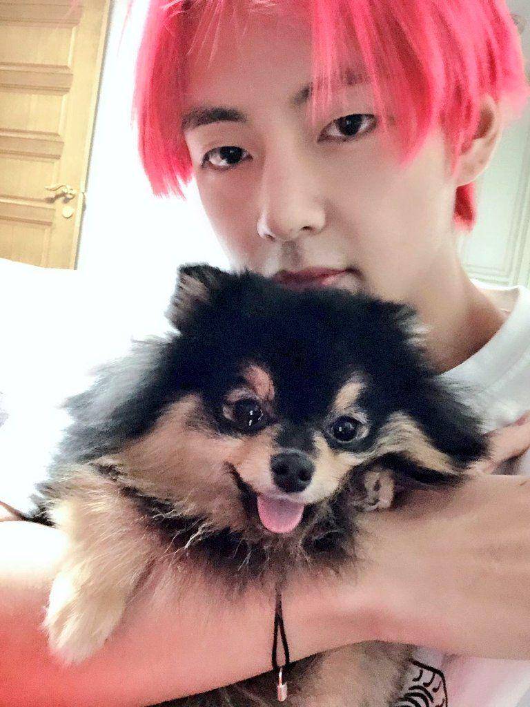 Twitter.com/taetaesbody