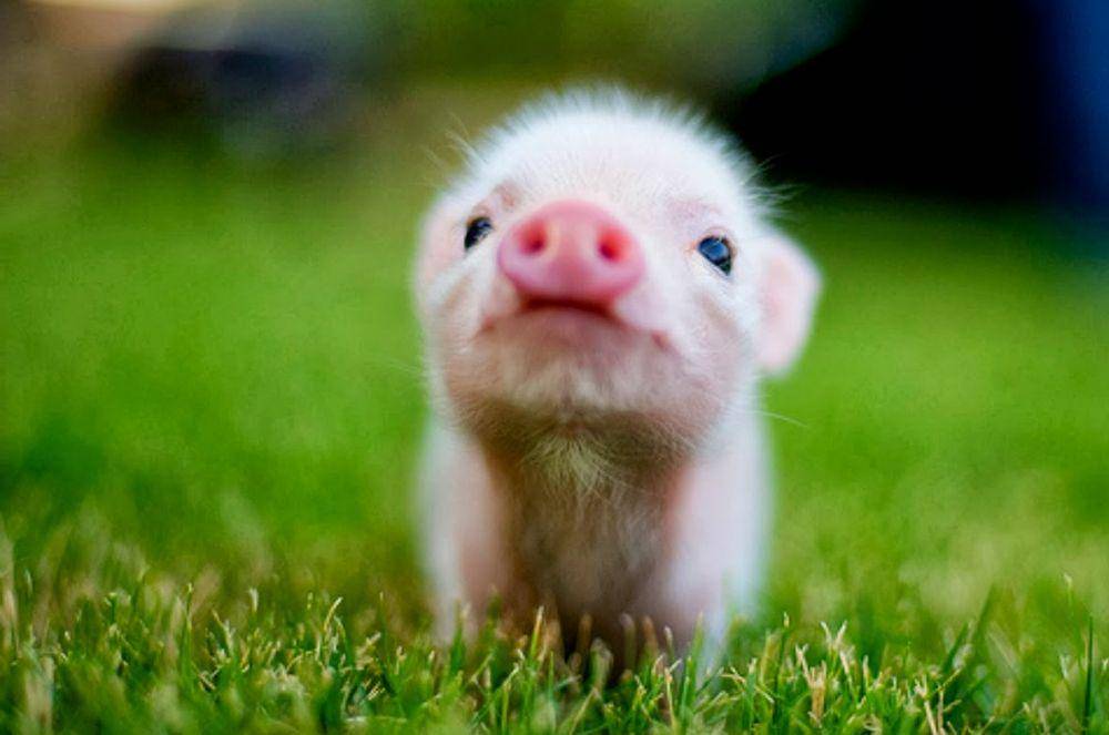 weheartit.com