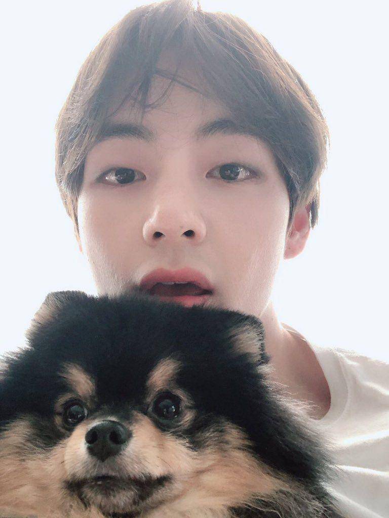 Twitter.com/besitosjimin