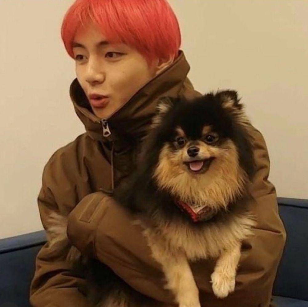 Twitter.com/withluvbangtan1