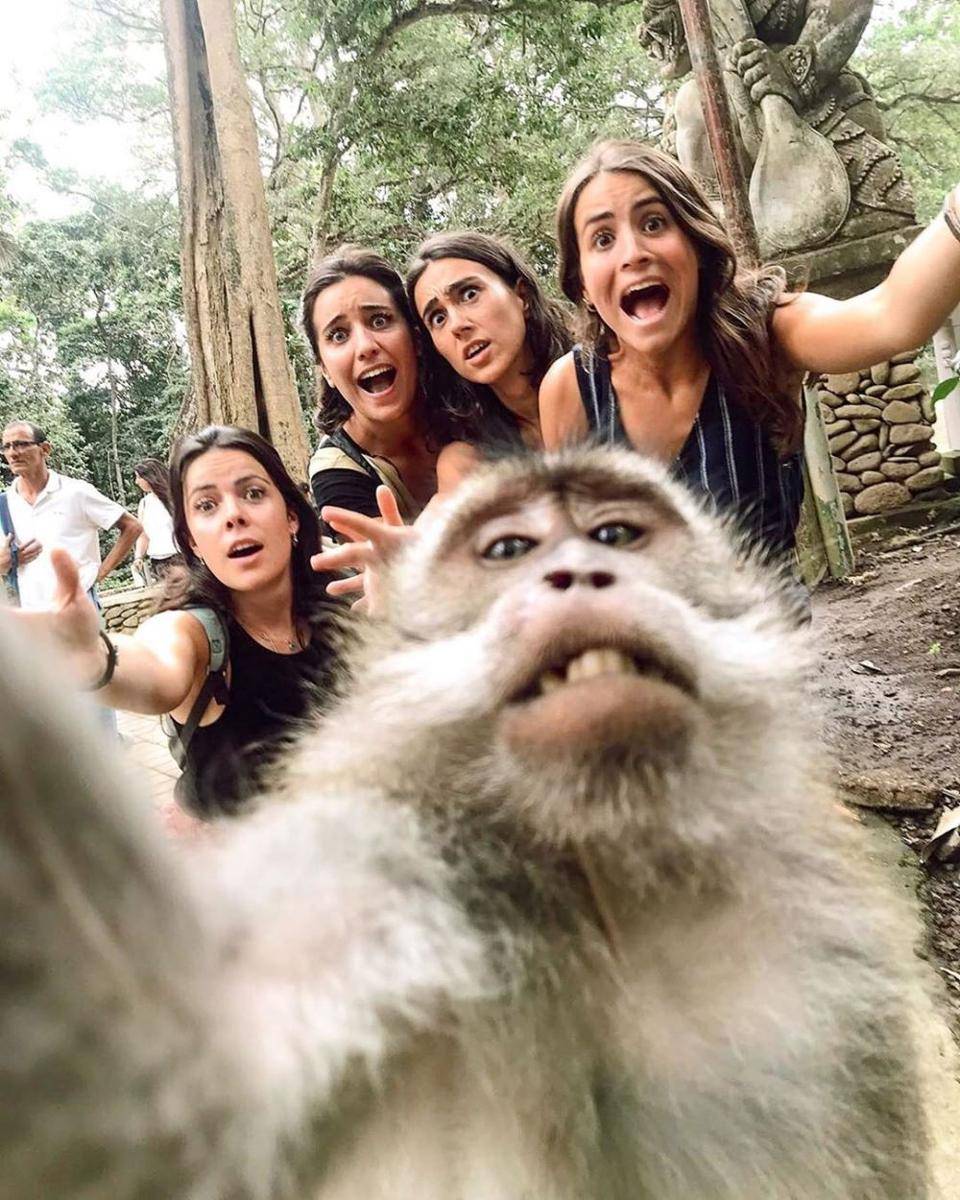 instagram.com/elementbywestinbaliubud